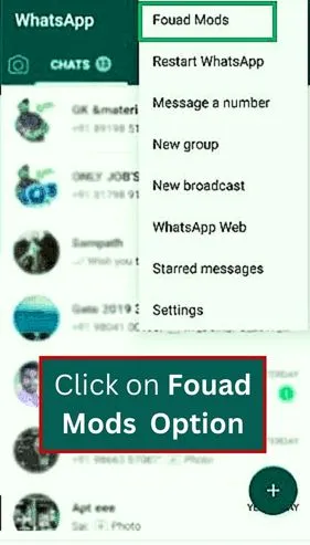 fouad mods option