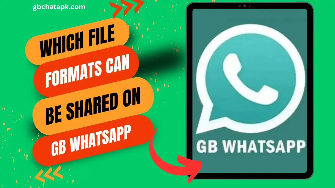 Which File Formats Can Be Shared Through GB WhatsApp (1)